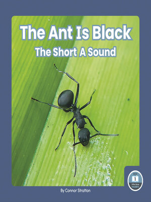 cover image of The Ant Is Black